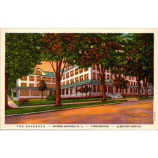 The Roseboro The Wasserman Family Sharon Springs NY Vintage Postcard SP8-5 picture