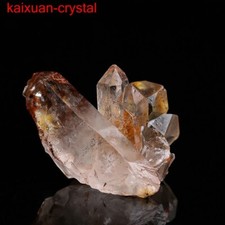 219Ct TOP Grade Natural Rutile Flowers & Phantom Crystal Quartz Reiki Specimen picture
