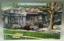 Mesker Park Zoo Bears Evansville IN Postcard Linen Vintage picture