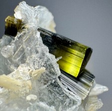 245 Carats Full Terminated Green Cap Tourmaline Crystals, Quartz On Albite @PAK picture