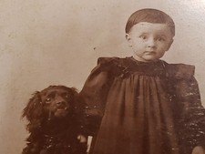 Antique 1890s Panora Iowa Cabinet Card Toddler Haired Spaniel Dog Trick Photo picture