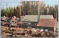 1909 Lumber Camp & Sawmill Logging Postcard Everett WA July 19 Cancel picture
