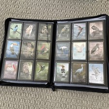 Life TCG Birds Complete Intermediate Set - Includes All Pop 1K and Higher Cards picture