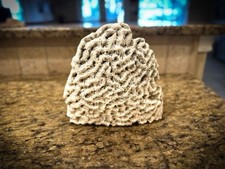 Genuine Natural Coral Display w/ Flat Bottom Base Table Fireplace Decor - 8” Lg picture