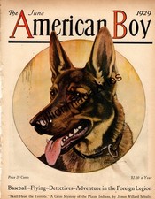 1929 American Boy - June - German Shepherd original cover only picture
