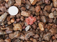 500 Carat Lots of Ruby Rough - Plus a FREE Faceted Gemstone picture