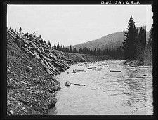 Photo:Maine 1930s Spring Pulpwood Drive Brown Company Timber Logs River picture