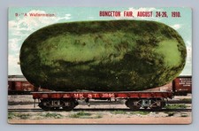 Giant Watermelon BUNCETON Missouri Fair Antique Exaggeration Postcard 1910 picture
