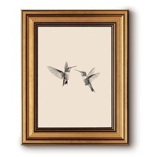 InSimSea Gold Framed Wall Art,Vintage Two Hummingbirds Sketch Prints,8x10In picture