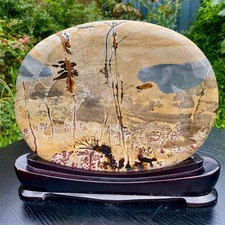 6.1LB  Natural Chinese tree like limestone image, stone Guohua ball picture