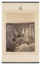 Yellowstone National Park Great Falls Standard Postcard picture
