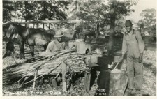 MOLLASSES TIME IN DIXIE - RPPC Postcard picture