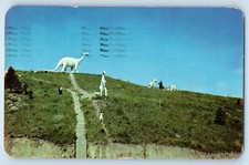 c1951 Black Hills South Dakota Vintage Postcard Dinosaur Park Rapid City Posted picture