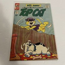 Top Cat Carlton Comics #19 , Vol. 4 VG/FN 1973 Hanna-Barbera picture