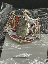 International Brotherhood Of Teamsters Union Pin Teamsters Local Hawaii 996 picture