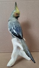 Porcelain Cockatiel Bird Parrot KARL ENS GERMANY Beautiful Condition picture