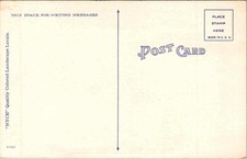 Fishing Scene Men in Boat Giant Fish Oxford Nebraska NE Postcard picture