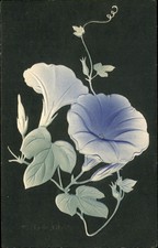 Beautiful Flowers & Leaves JAPANESE BACKSIDE Airbrushed Embossed c1910 Postcard picture