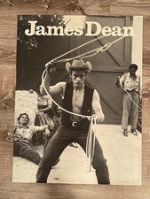 James Dean 1955 Giant Movie Western Lasso Beulah Roth Poster 21x28