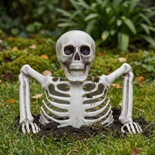 Lighted Skeleton Tabletop Halloween Haunted House Party Decor Same Day 🚛✅ picture