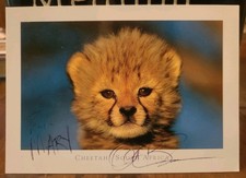 Autographed Anthony Bourdain Postcard Cheetah South Africa RARE Inscribed Mary picture