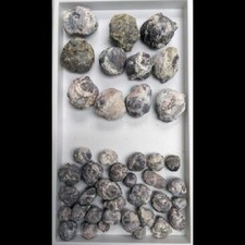 1LB Bulk of Fluorescent Foxhole Mine Dugway Geodes Unbroken Mix Wholesale Lot picture