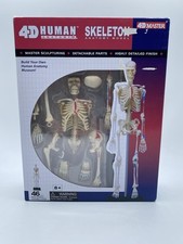 Tedco Toys 26059 4D Human Anatomy Skeleton Model picture