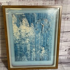 VTG. INTERCRAFT Shadowbox Wall Clock Forest Landscape- WORKS picture