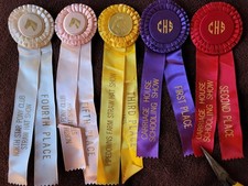 North Star Pony Club & Carriage House Horse Show Ribbons Awards Equestrian Event picture
