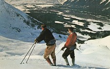 Vintage 1963 Mt. Alyeska Alaska Ski Championships Colorchrome Postcard picture