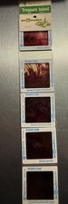 DisneyWorld Pana Vue Treasure Island Slides - Vintage but New picture