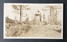 Whitman National Forest Timber Survey Antique Snapshot Photo Oregon picture