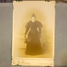 E.W. Penny Sepia Cabinet Card Albumen Studio Portrait Photo Woman Plymouth IN picture