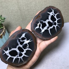 1 pair Natural Moroccan Turtle Back stone Cutting Energy specimen 576g A5653 picture