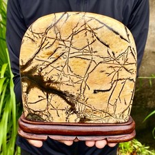 4.54LB Beautiful Natural Chinese Dendritic Limestone Picture Stone Guohua -Rare picture