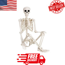 5.4ft Halloween Skeleton Full Body Life Size Skeleton Bones with Movable Joints picture