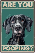 Tin Metal Signs Great Dane Are You Pooping Vintage Wall Decor 8x12 picture