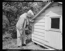 Photo:Man Inspecting Small House Exterior 1930s 1940s Rural Cabin picture