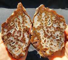 35.09 oz (995 gr) Plume Agate, Crystal Agate Pair, Achatpaar, عقيق, めのう, Agatpar picture