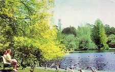 VINTAGE POSTCARD MELBOURNE BOTANIC GARDENS AUSTRALIA SCENIC VIEW POSTED picture