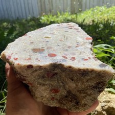 8 Pounds Large Puddingstone Michigan Lapidary Rough Stone picture