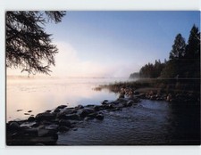 Postcard Mississippi Headwaters Itasca State Park Minnesota picture