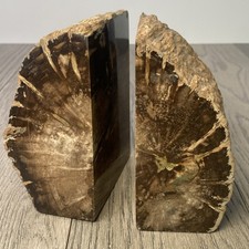 Petrified Wood Bookend Set 6.12lb Large Polished Rock Book End Pair picture