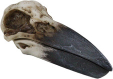 Ebros Bad Omens Witchcraft Gothic Raven Crow Skull Decorative Jewelry Box 8.25