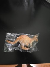 Outback Steakhouse Kangaroo picture