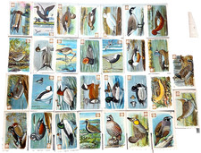 1924 J8, 4th Series Useful Birds of America tough Dwight's Soda Logo Variety SET picture
