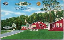 c1950s TALLAHASSEE, Florida Postcard GANDY MOTOR HOTEL Hwy 90 Chrome / Unused picture