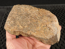 190 Million Year OLD DINOSAUR Bone FOSSIL From Jurassic Utah 891gr picture