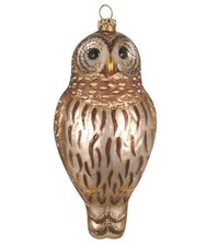 Barred Owl Bird Blown Glass Handcrafted Christmas Ornament NIB Cobane picture