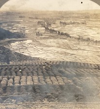 Shizuoka Japan Tea Rice Agriculture Flooded Paddy c1910s Keystone 14710 SB1 picture